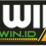 11winid3 is swapping clothes online from 