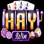 Haywin1 agency is swapping clothes online from 