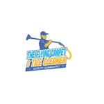 theflyingcarpetandtilecleaner is swapping clothes online from 