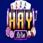 haywin1actor is swapping clothes online from 