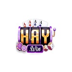 haywin1app is swapping clothes online from 