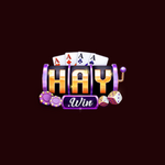 haywin1digital is swapping clothes online from 