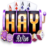 haywin1group is swapping clothes online from 