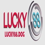 lucky88dog is swapping clothes online from 