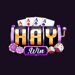 Haywin1 games is swapping clothes online from 