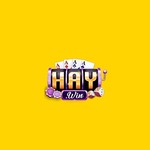 Haywin1 fund is swapping clothes online from 