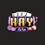 Haywin1team is swapping clothes online from 