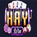 haywin1capital is swapping clothes online from 