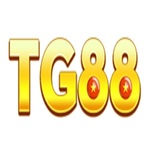 TG88 is swapping clothes online from 