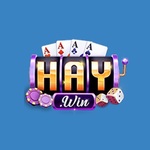 haywin1works is swapping clothes online from 