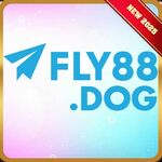 fly88dog is swapping clothes online from 