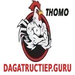 dagatructiepguru is swapping clothes online from 