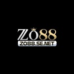 zo88senet is swapping clothes online from 