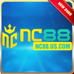 nc88uscom is swapping clothes online from 