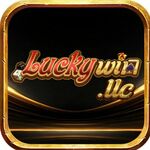 Luckywinllc is swapping clothes online from 