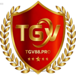 tgv88pro is swapping clothes online from 
