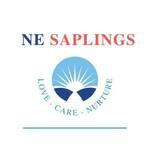 nesaplings is swapping clothes online from 