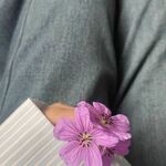 maryamriaz332 is swapping clothes online from 