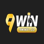 9winv1co is swapping clothes online from 