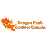 dragonpestcontrol is swapping clothes online from 