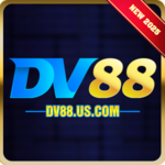 dv88uscom is swapping clothes online from 