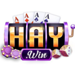 haywin2io is swapping clothes online from 