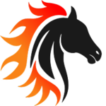 modailynhacai is swapping clothes online from 