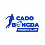 CÁ CƯỢC BÓNG ĐÁ is swapping clothes online from 