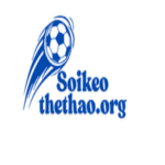 soikeothethao is swapping clothes online from 