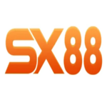 sx88 is swapping clothes online from 