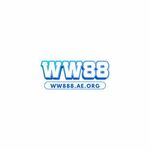ww888aeorg is swapping clothes online from 
