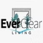 everclearliving is swapping clothes online from 