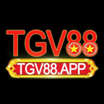 tgv888appp is swapping clothes online from QUẬN ĐỐNG ĐA, HANOI