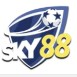 sky88foo2 is swapping clothes online from 