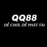 webqq88money is swapping clothes online from 