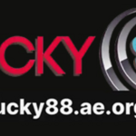 wibkicomlk is swapping clothes online from 