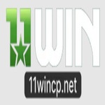 11wincpnet is swapping clothes online from 