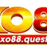 bloggercomqr is swapping clothes online from 
