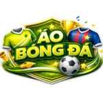 aobongdaorg is swapping clothes online from 