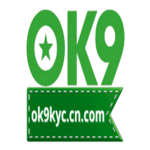 OK9 is swapping clothes online from 