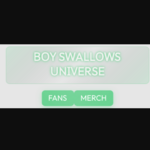 boyswallowsuniversemerch is swapping clothes online from 