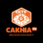 cakhiatvdesignvn is swapping clothes online from 