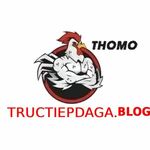 ĐÁ GÀ TRỰC TIẾP BLOG is swapping clothes online from 