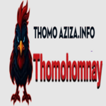 thomohomnayaziza is swapping clothes online from 
