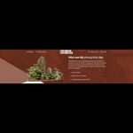 hòn non bộ is swapping clothes online from 