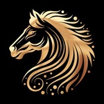 92horsenet is swapping clothes online from 