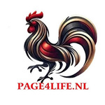 ĐÁ GÀ THOMO PAGE4LIFE is swapping clothes online from 