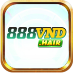 888vndhair is swapping clothes online from 