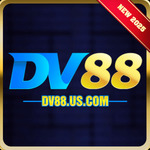 dv88eucom is swapping clothes online from 