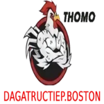 dagatructiepboston is swapping clothes online from 
